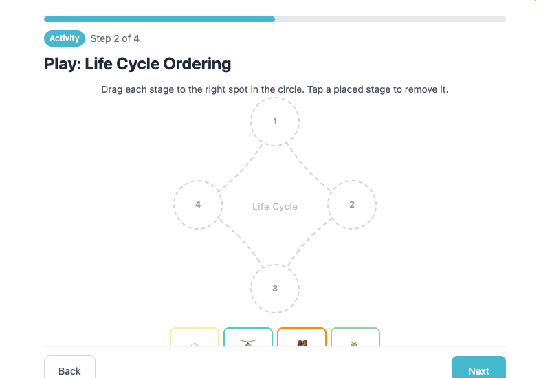 Interactive drag-and-drop activity where students arrange butterfly life cycle stages