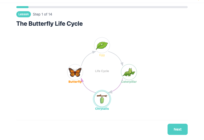 Butterfly Life Cycle: 5-Day Interactive Lesson preview 4