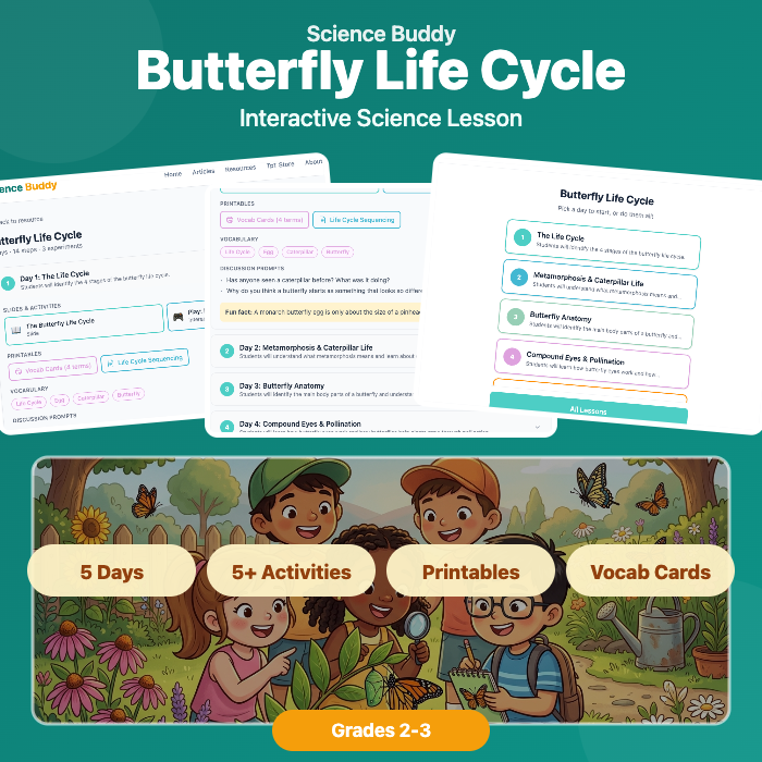 Butterfly Life Cycle preview 1