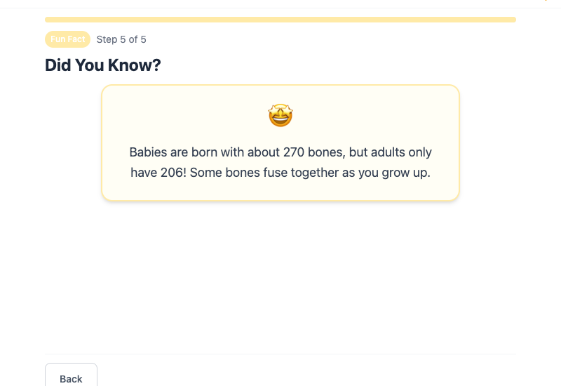 Vocabulary flashcards for body system terms