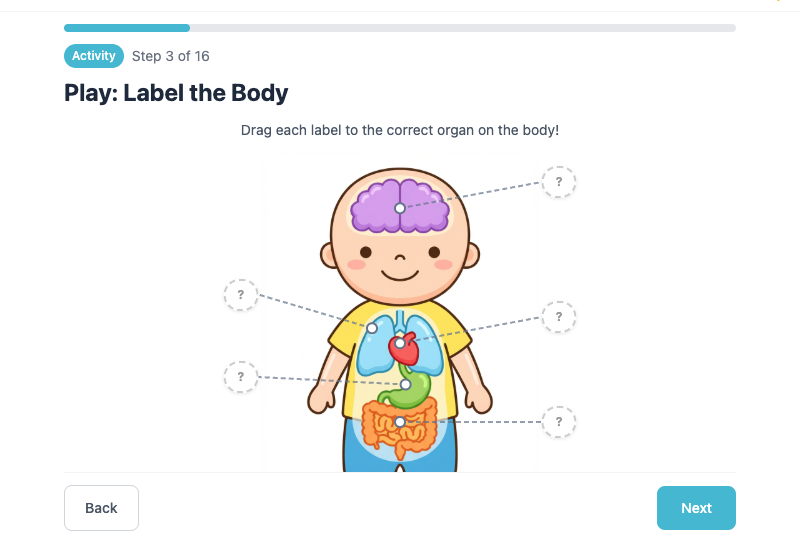 Human Body Systems: 6-Day Interactive Lesson preview 2