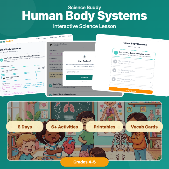 Human Body Systems preview 1