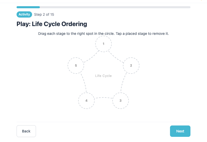 Plant Life Cycle: 5-Day Interactive Lesson preview 2