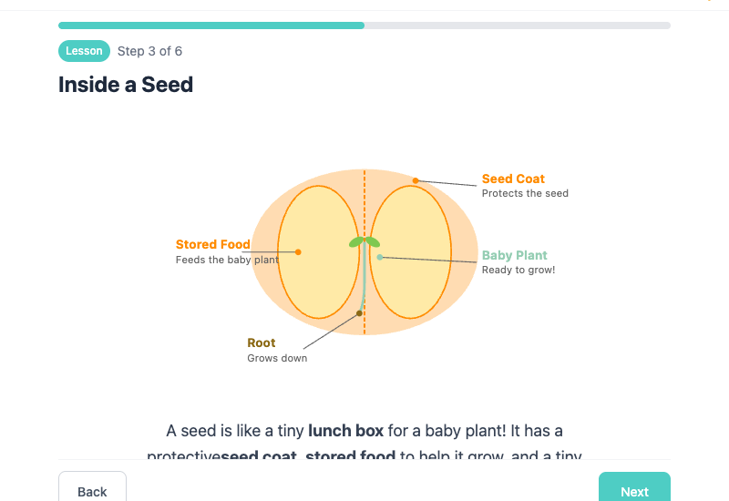 Inside a Seed teaching slide with labeled diagram