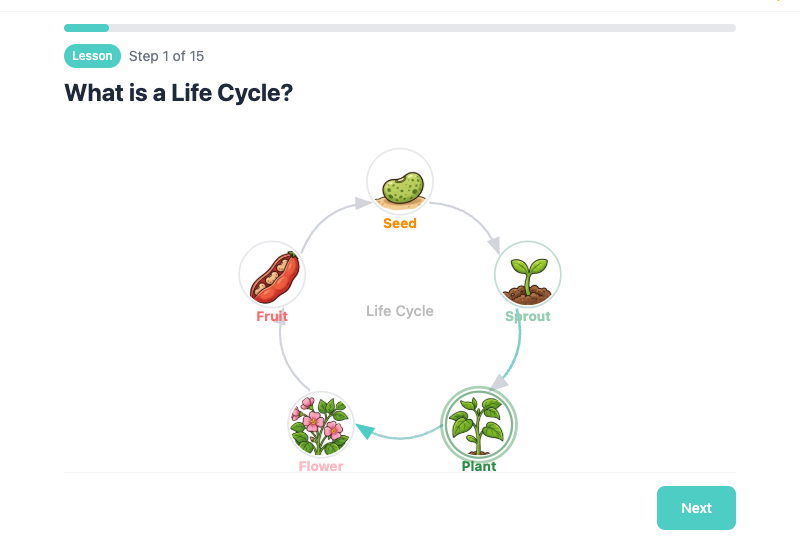 Plant Life Cycle: 5-Day Interactive Lesson preview 5