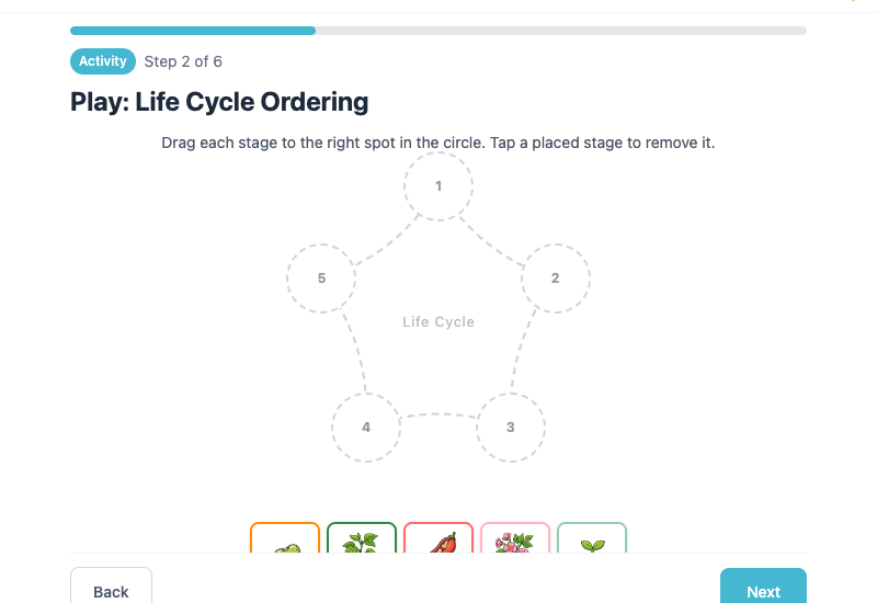 Interactive drag-and-drop activity where students arrange plant life cycle stages